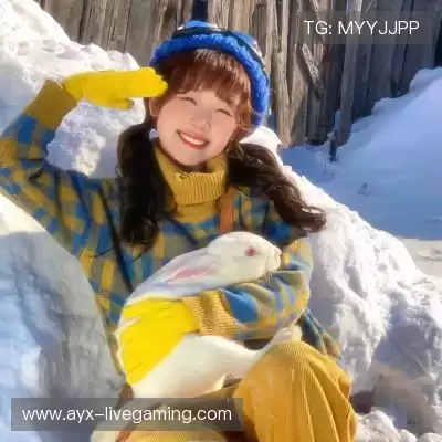 孙楠奔
